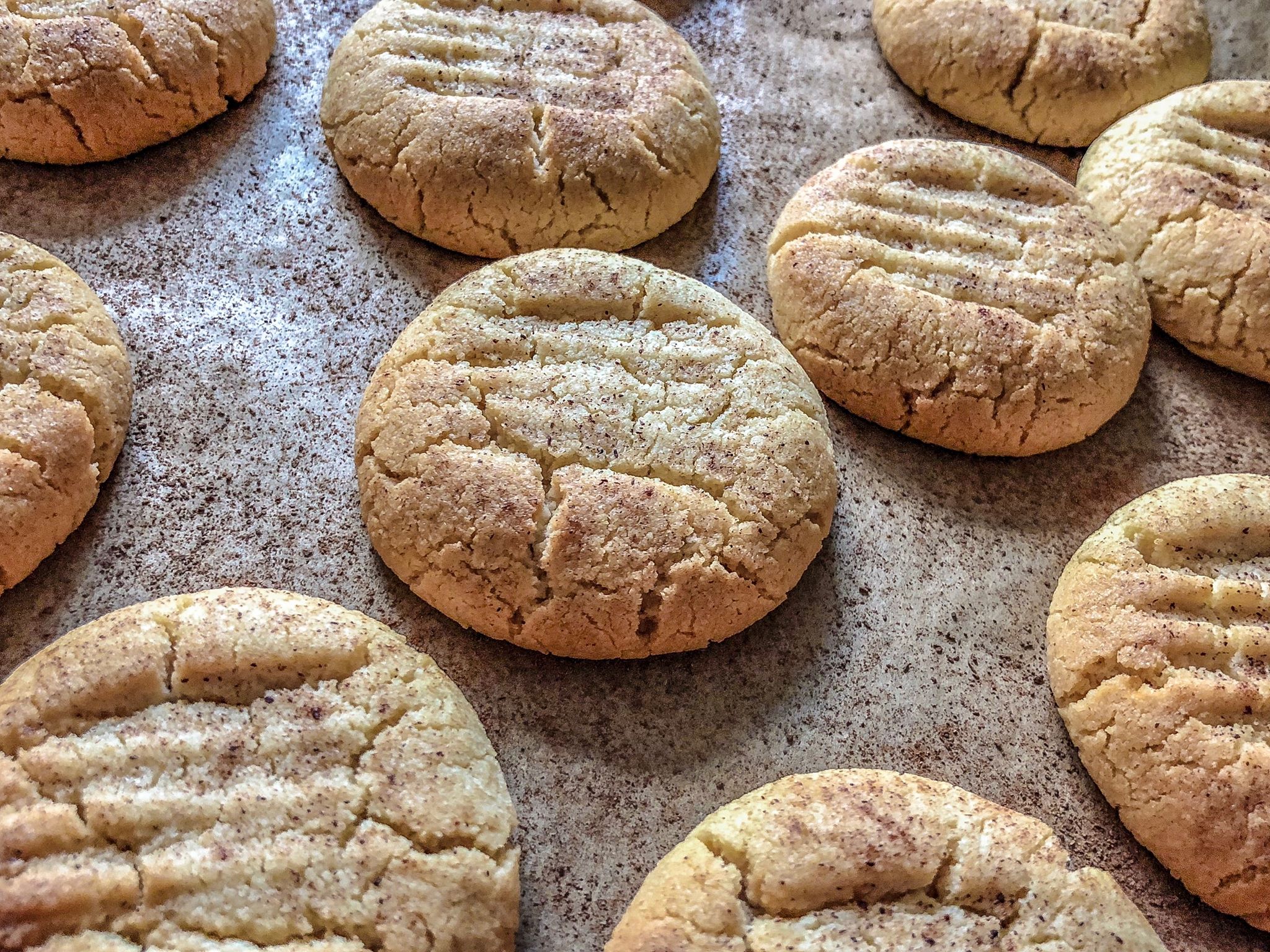 38041825_881727758684419_7067025410306867200_n